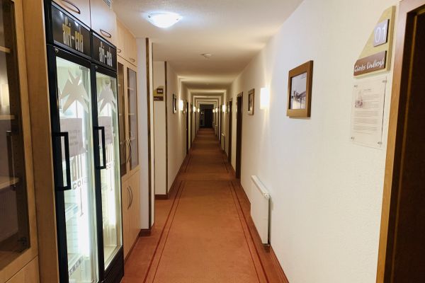 Hotel Zum Fliegerwirt Garni (Mengen)